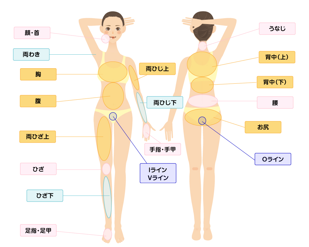 脱毛部位